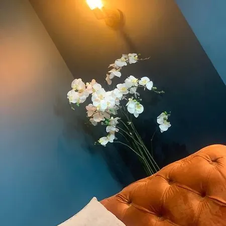 別荘 Rose Cottage, Centre, Access